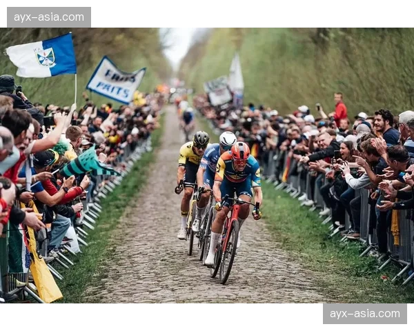 范德普尔瞄准古典赛历史纪录,可能打破环弗兰德斯和巴黎-鲁贝胜场纪录 范德普尔瞄准古典赛历史纪录,可能打破环弗兰德斯和巴黎-鲁贝胜场纪录