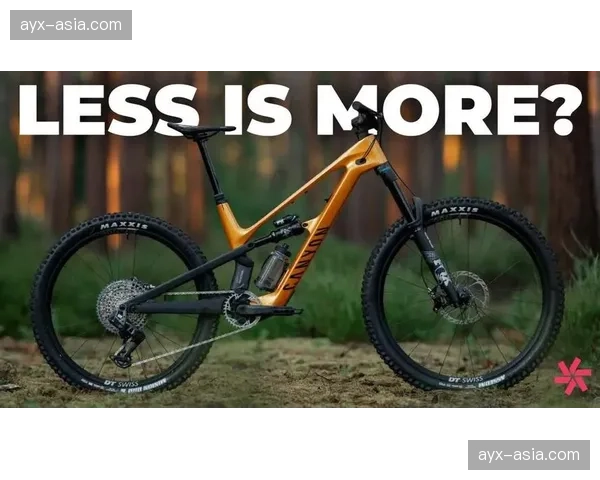 电动山地车（e-MTB）销量在欧洲市场持续攀升，引发传统赛事规则讨论